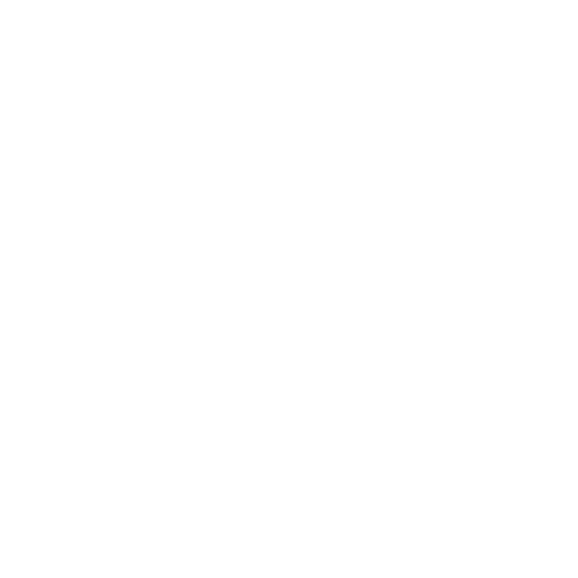 Premium diaries and custom branded notebooks by ESS9.pk